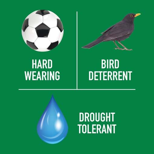 Munns_USP_hard_wearing_bird_deterrent_drought_tolerant.jpg (1)