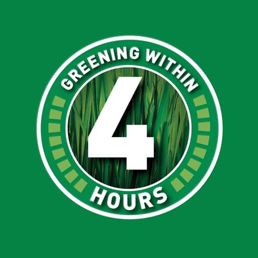 Munns_USP_greening_within_4_hours_icon_green_dominator.jpg (1)