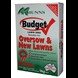 55219_Munns Budget Lawn Seed_1kg_FOP.jpg (6)