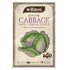 Heirloom Cabbage Savoy Verona