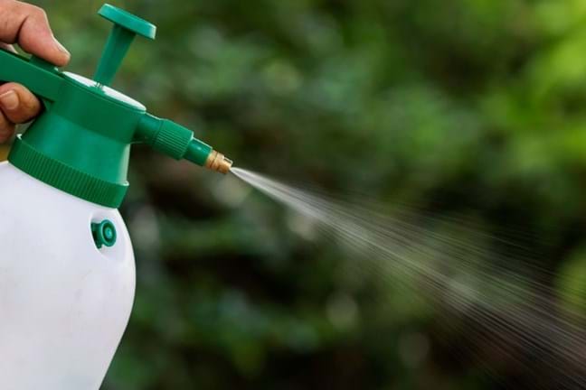 person holding garden sprayer spraying a colourless liquid downwards
