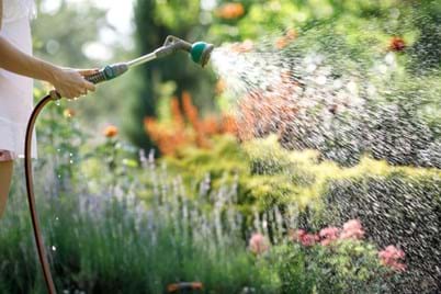 9 ways to save water in the garden