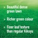 Munns_USP_dense_green_lawn_richer_green_fine_leaf_kikuyu.jpg (6)