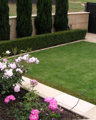 How to renovate your lawn